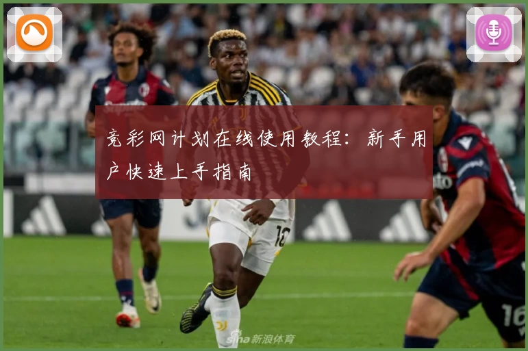 竞彩网计划在线使用教程:新手用户快速上手指南
