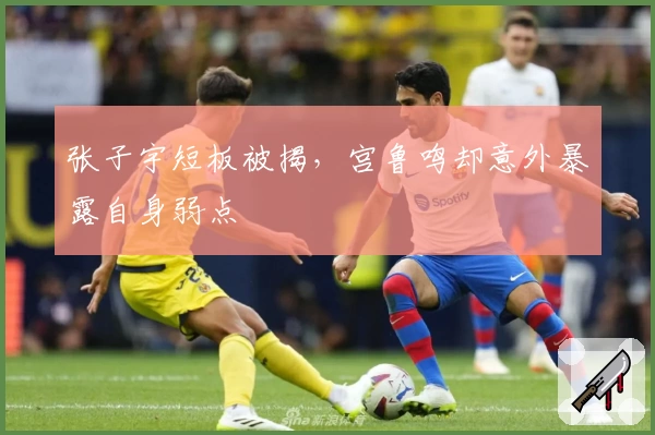 张子宇短板被揭，宫鲁鸣却意外暴露自身弱点