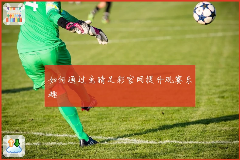 如何通过竞猜足彩官网提升观赛乐趣