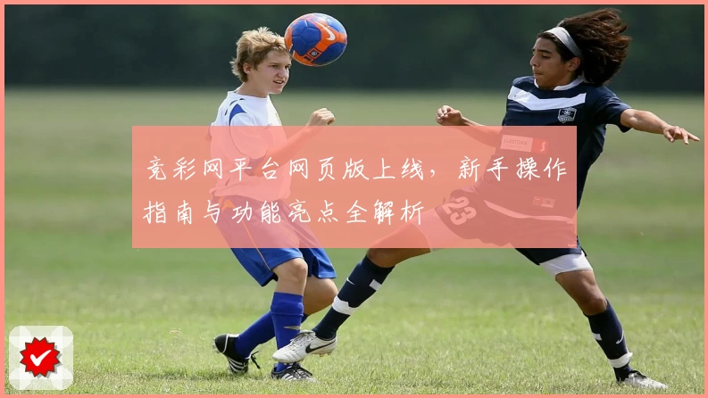 竞彩网平台网页版上线，新手操作指南与功能亮点全解析