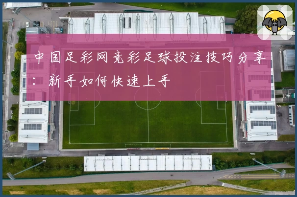 中国足彩网竞彩足球投注技巧分享：新手如何快速上手