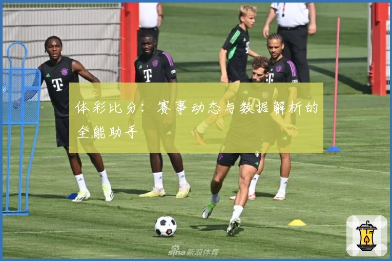 体彩比分:赛事动态与数据解析的全能助手